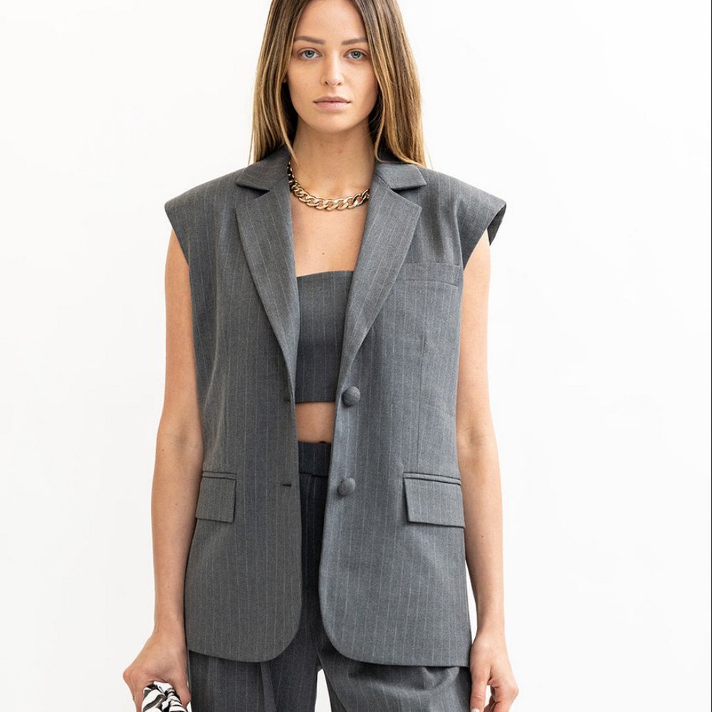 NWOT Torn by Ronny Kobo Oaklyn Pinstripe Vest